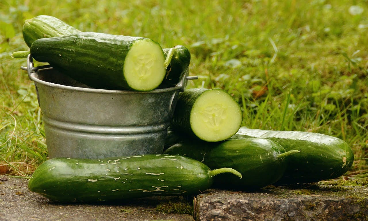 cucumbers 1588945 1280