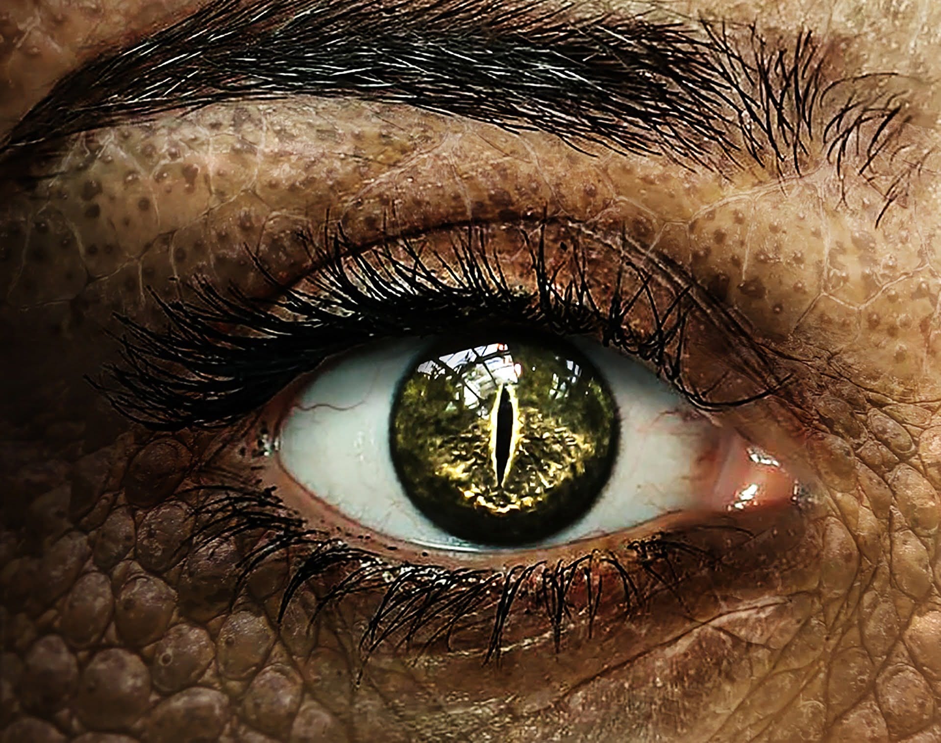 crocodile 2434838 1920