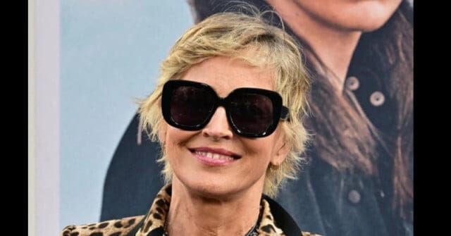 Само Шарън Стоун може да изглежда толкова добре, облечена толкова кичозно! Модна икона на 66 (СНИМКИ) 7 Само Шарън Стоун може да изглежда толкова добре, облечена толкова кичозно! Модна икона на 66 (СНИМКИ)