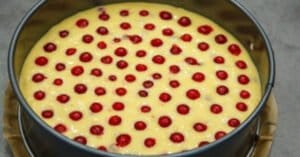 Вчера го правих с вишни, днес - с малини! Неземно вкусен и нежен Плодов пирог - става с всякакви плодове: 28 m b6a9b5e5d34b40ecf6f3085f53f159b9
