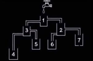461403507 122146129196271488 6531664600609348402 n