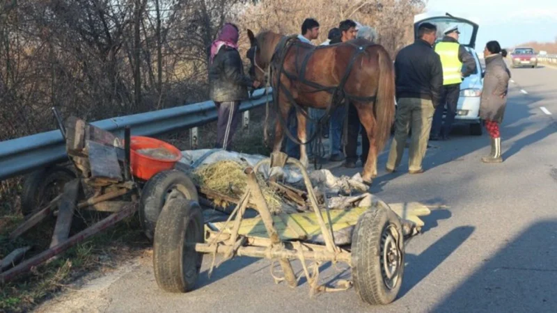 Ужас! Втора жертва на мелето с каруца в Сливенско 3 1683373026 orig 9031757597986948