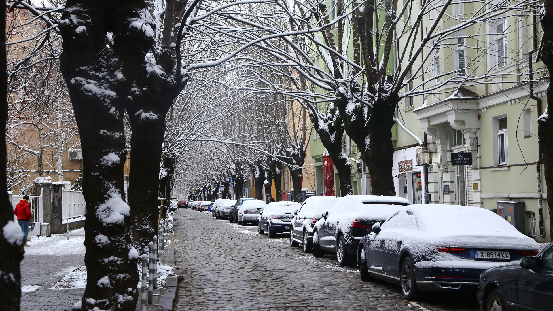 1704787635 img 1048jpg