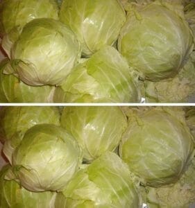На кои дати трябва да сложим зеле, за да стане с перфектен вкус 6 461678228 574538981813693 8342627823856930968 n