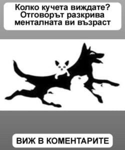 463365931 1093727805807570 2072780321463283719 n