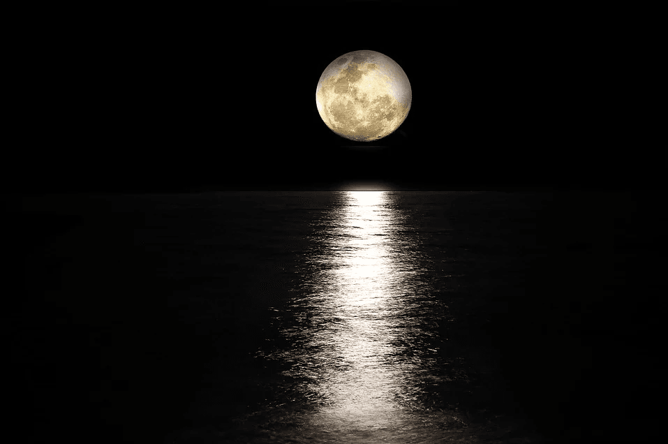 lunata