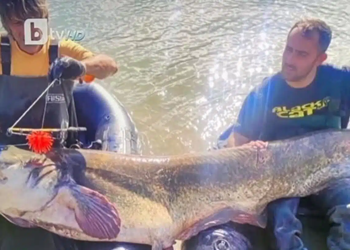 ribari 120 kilograma som dqkovo