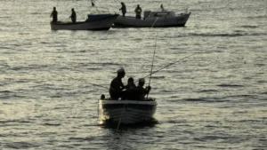 Извънредно: Нещо страшно се случва в Черно море 10 Рибата в Черно море драстично намалява. Климатичните промени и ограниченията за риболов създават сериозни предизвикателства за рибарите.