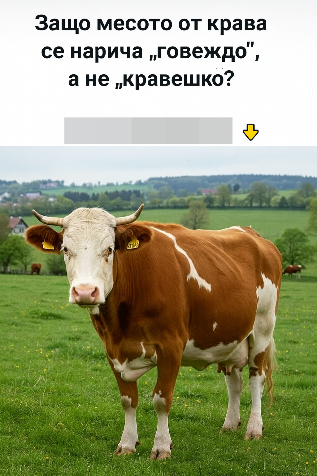 chatgpt image 30.07.2025 g. 17