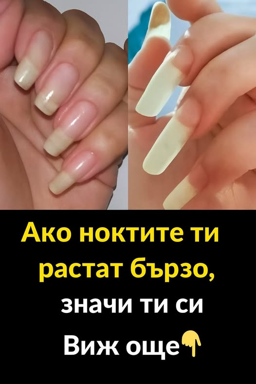 514273772 784120157294552 3179111129363407995 n