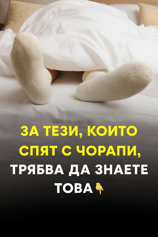 548689002 808020938237807 705320424375822658 n