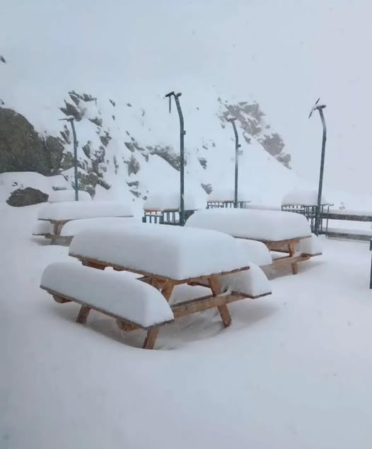 Неочаквана зимна приказка: 50 см сняг натрупа на.. 3 556395723 854588177141230 25095130211937857 n