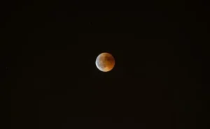 luna 750x463.jpg