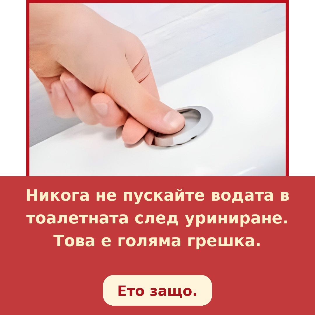 toilet flush bg 1080