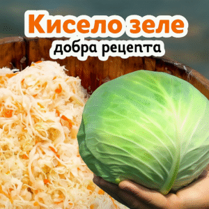 20251001 1309 kiselo zele reczepta remix 01k6fkw181f5xsm02pp1d5pjt3