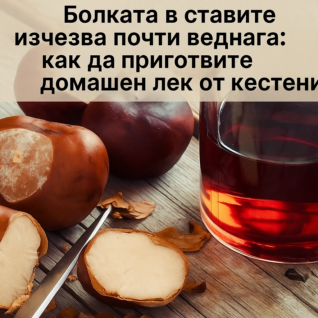 20251016 1330 domashen kestenov