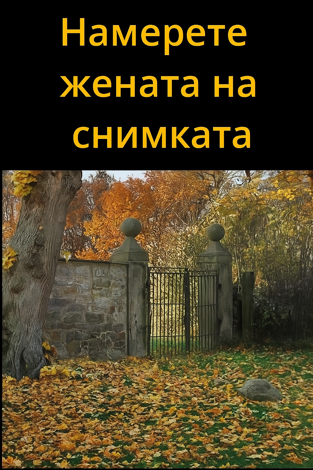 На тази снимка има жена — трябва да сте много наблюдателни, за да я забележите 😁 4 20251020 1443 esenen