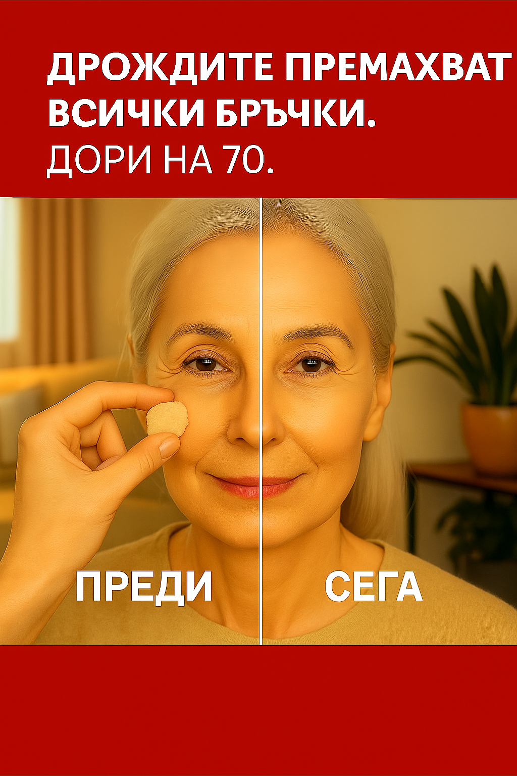 20251022 1442 predi i