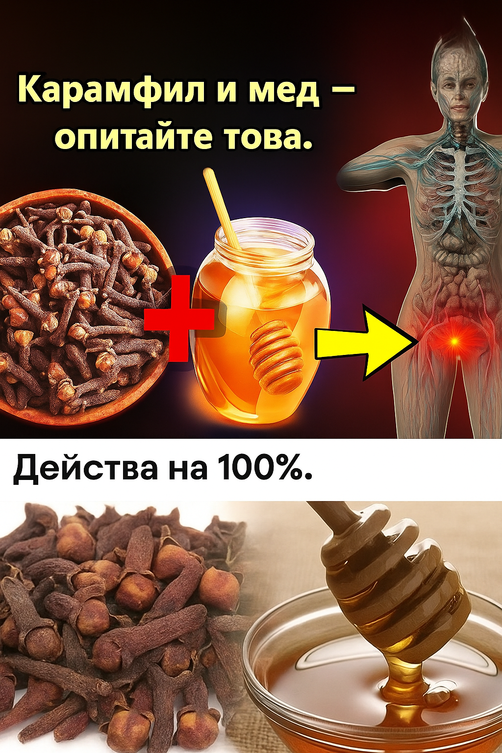 20251026 1432 karamfil i