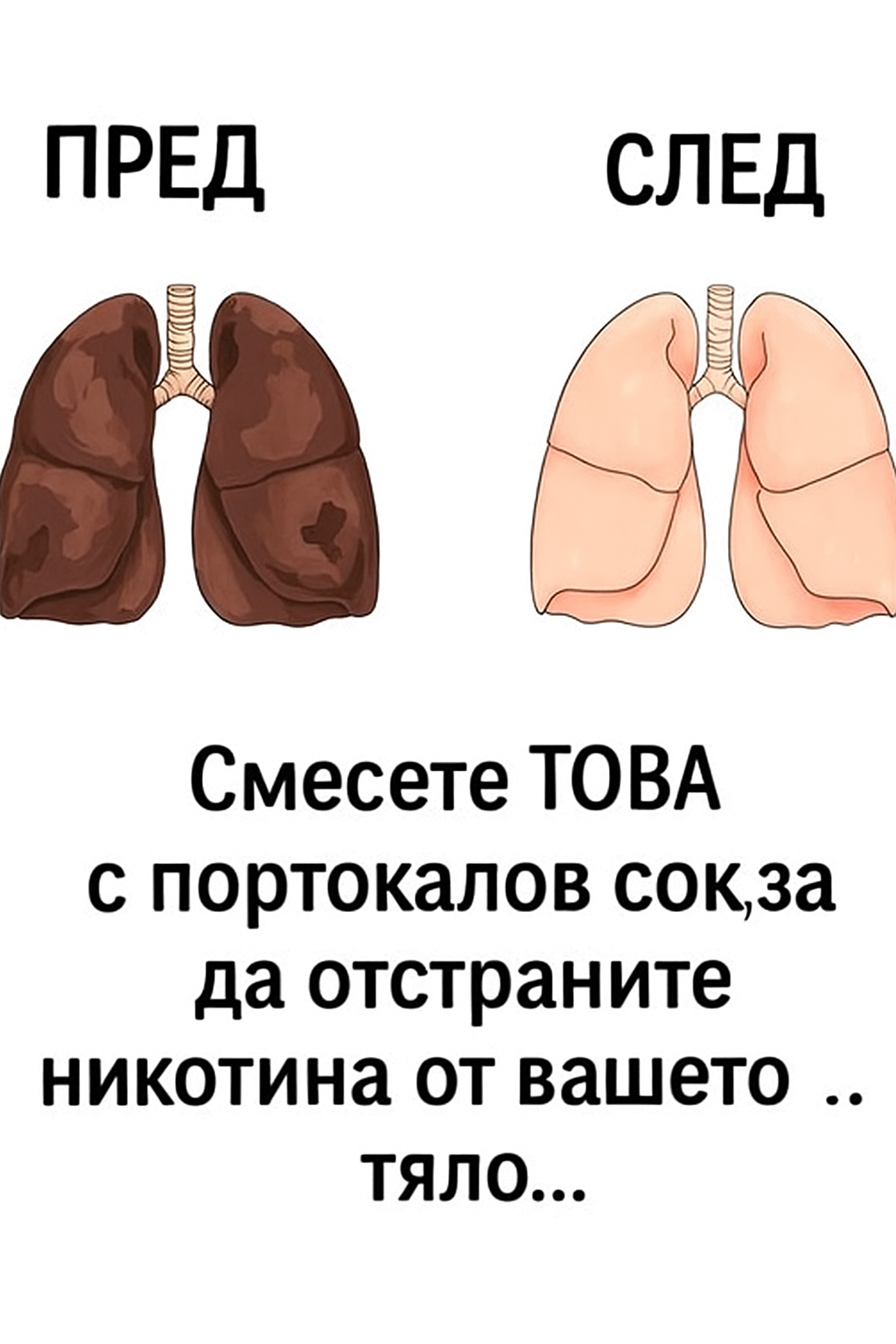 20251031 1300 ogledalno