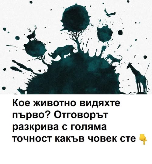 565951942 1490528775970101 6535767944441796976 n