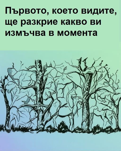 Първото, което видите, ще разкрие какво ви измъчва в момента. 😱 3 566378567 1488743326148646 6528250030967079106 n
