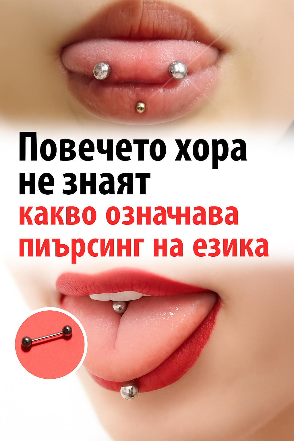 95512915 e0fd 4755 86d3 f5a23e687e89