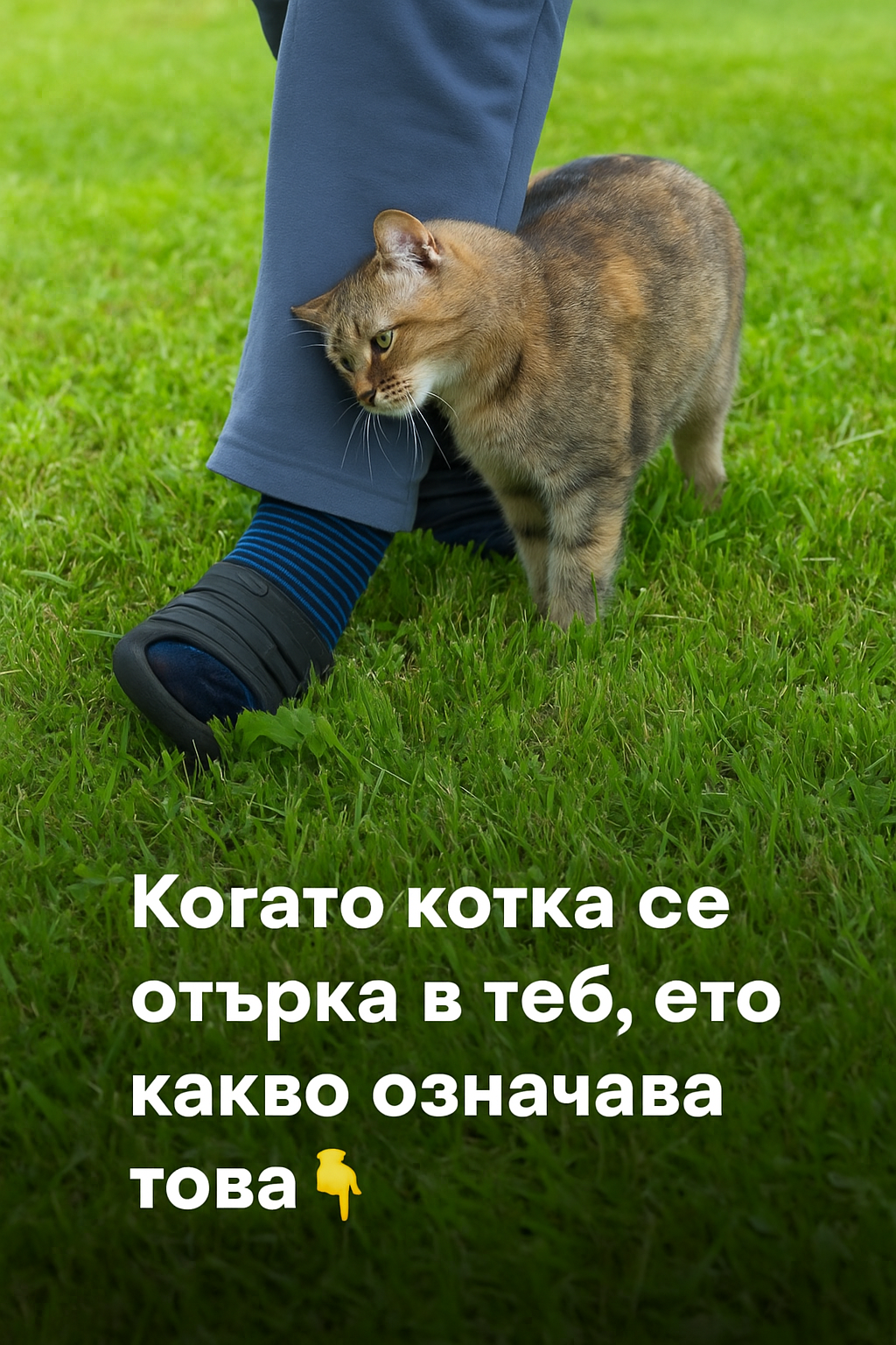 fb783f80 7eca 4bdc 9efd bea6f8e5438e