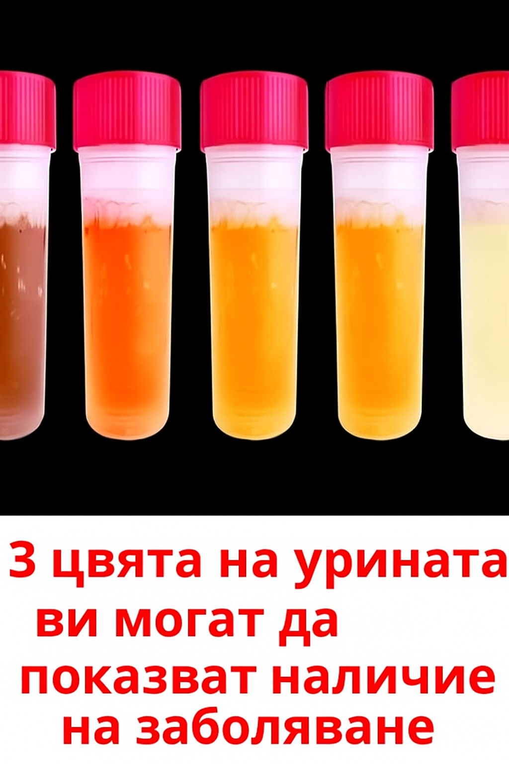 20251102 1259 czvetova diagnostika na