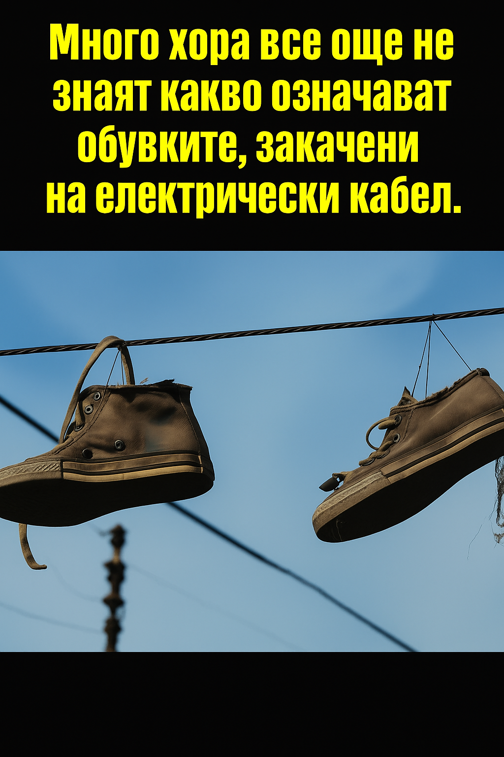 20251103 1054 obuvki na elektricheski