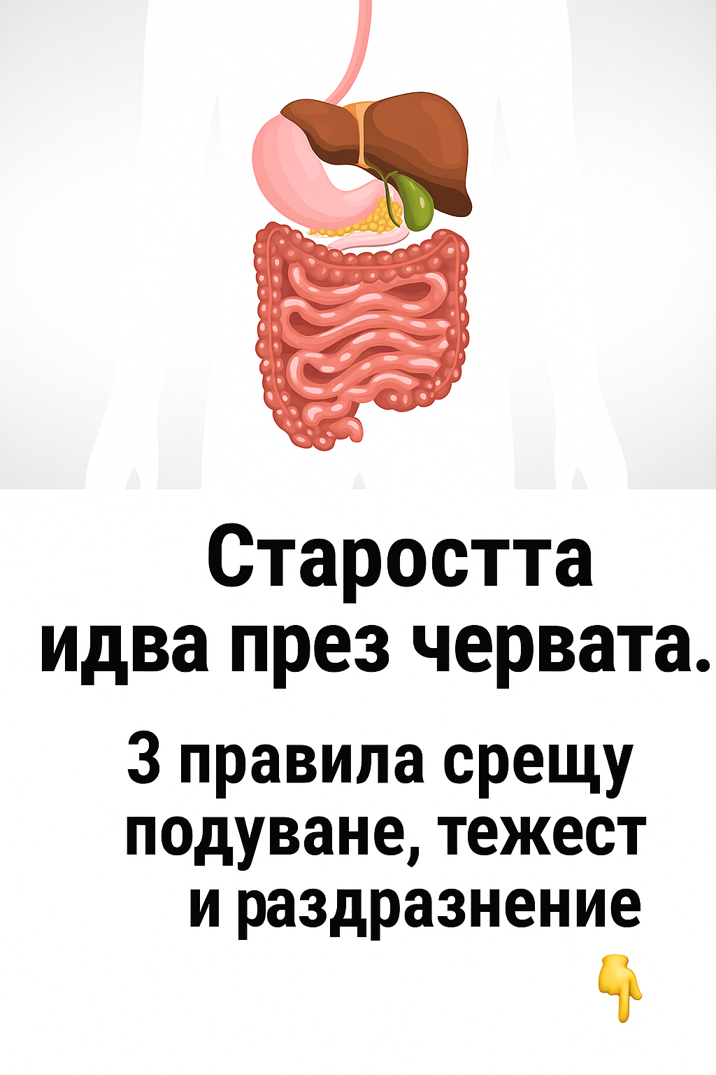 20251106 1253 polezni saveti za