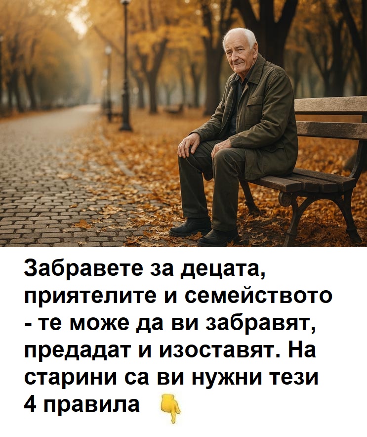 572859424 1494333845589594 2072608257143800984 n