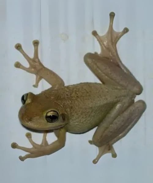 581200417 122171550092593989 7378853248049934172 n