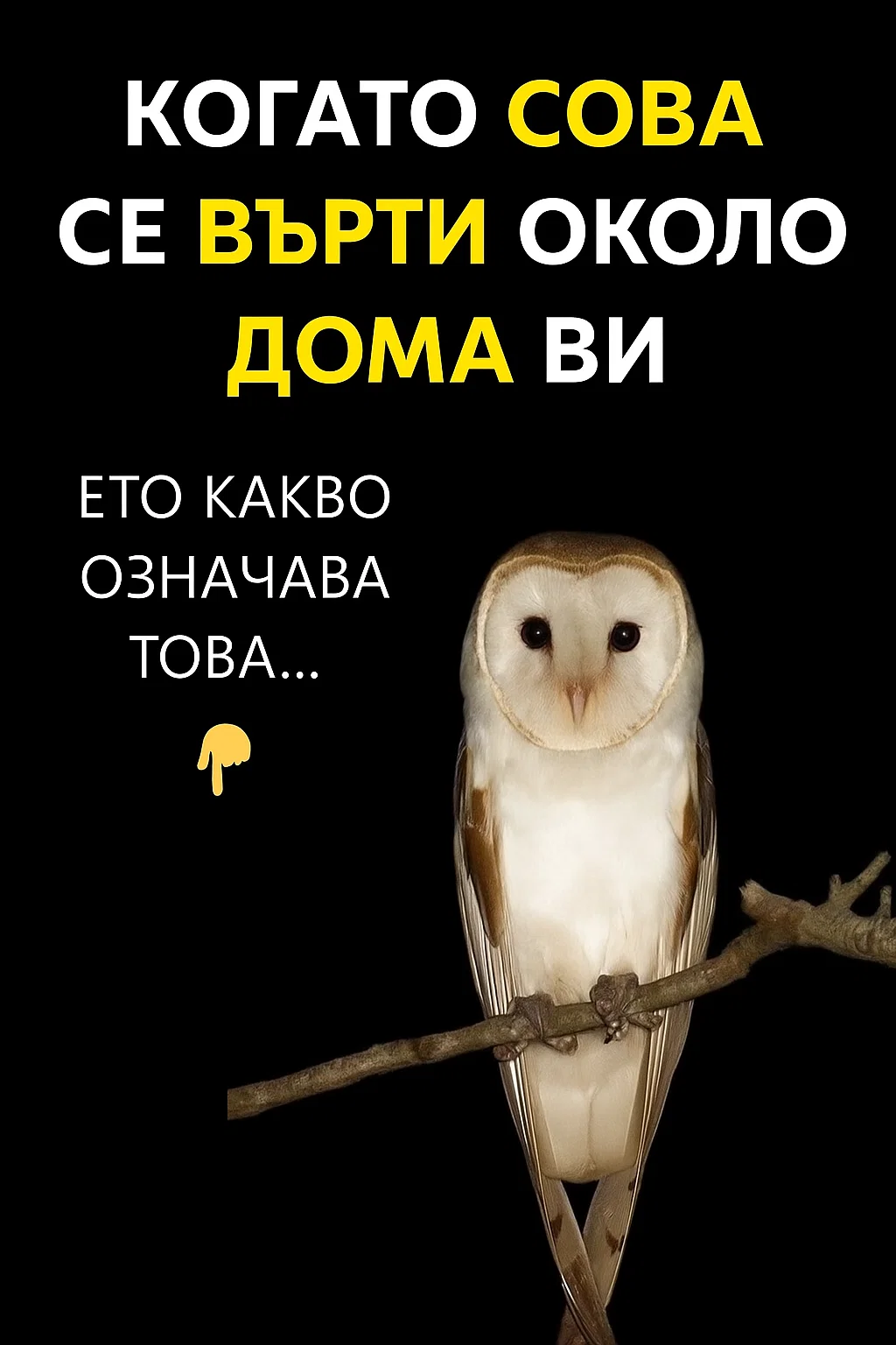 task 01k9rtamkwffwahrtren84wjj2 1762843342 img 0