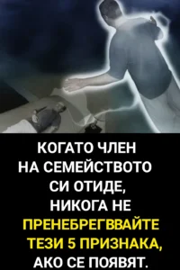 Когато член на семейството си отиде, никога не пренебрегвайте тези 5 признака, ако се появят. 76 task 01kab6kq9vefz8azq0cbtcajq1 1763460208 img 0