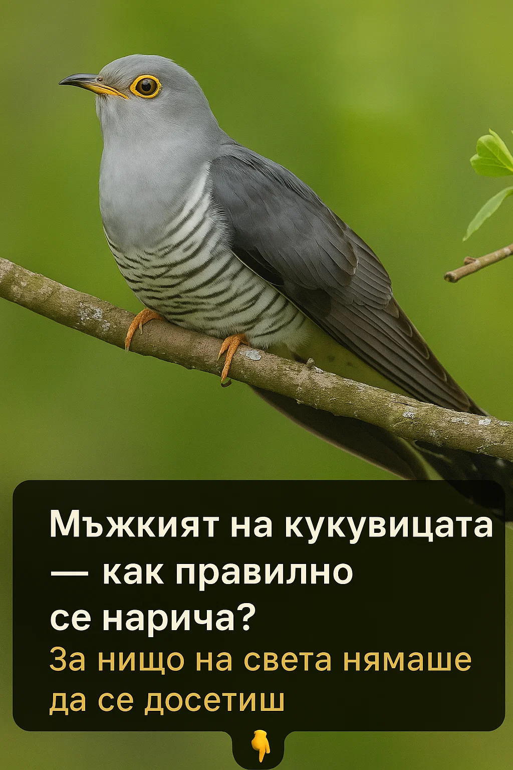 task 01kb4p152ee2fb5fr67tsy9nv7 1764315253 img 0
