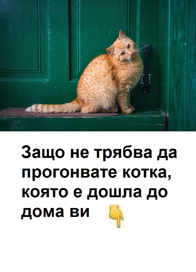 588774116 1522094322813546 1520210509051481513 n