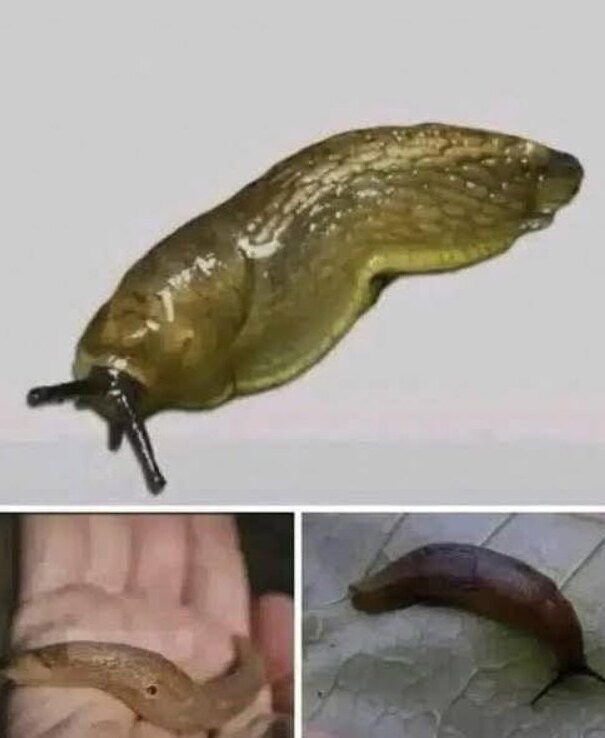 589725679 859076046698543 541901