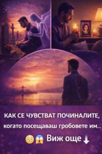 Как се чувстват починалите, когато посещаваш гробовете им… 😳😱 Виж още 👇 8 605878530 122178224168593989 517652857228958390 n