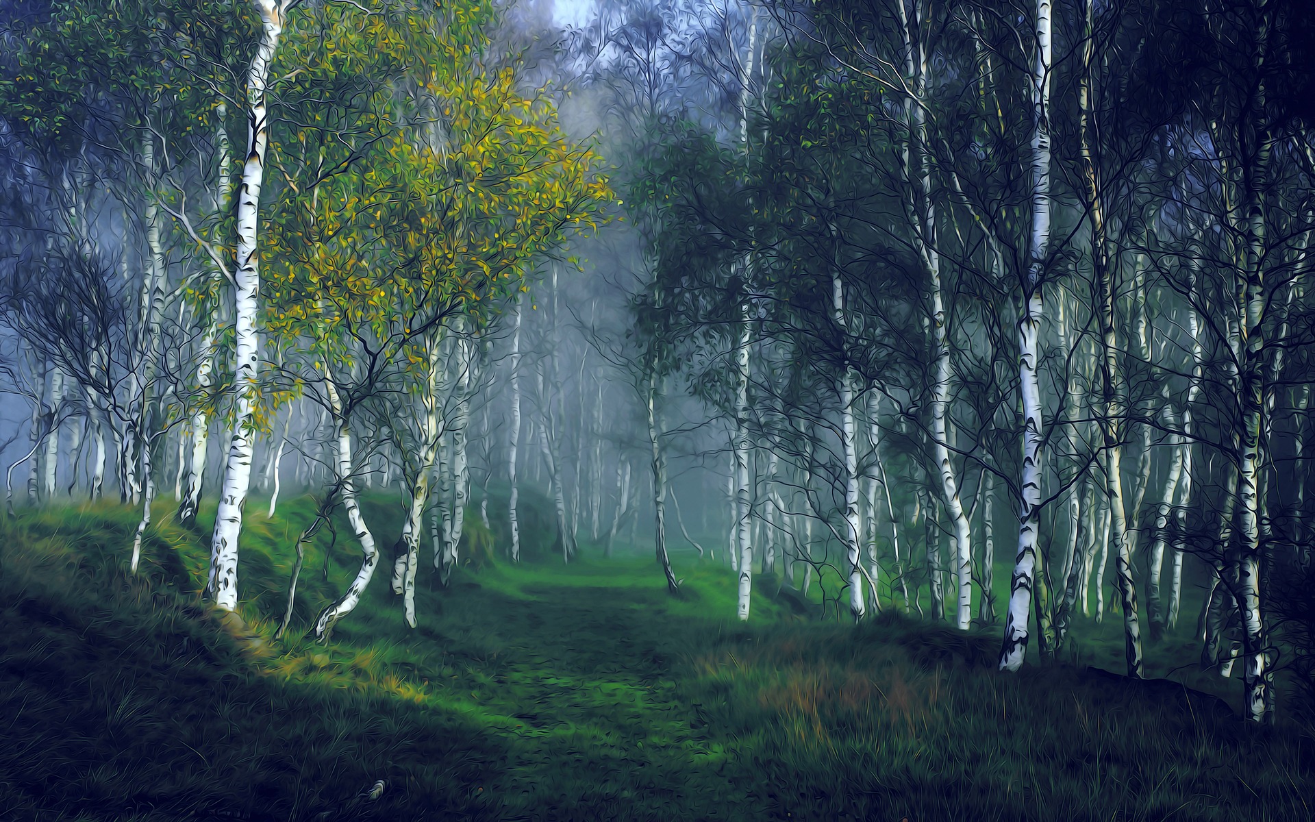 birch 3691340 1920
