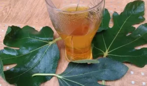 sirop smokinovi lista.jpg