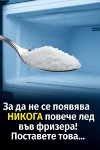 task 01kbd147ete03vfavms86v5rh2 1764595380 img 1