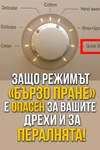 task 01kbd2ah5yf9m91fv60s48bebk 1764596651 img 0