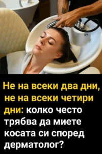task 01kbj3kmtnesxvaypjgvqga77c 1764765706 img 0
