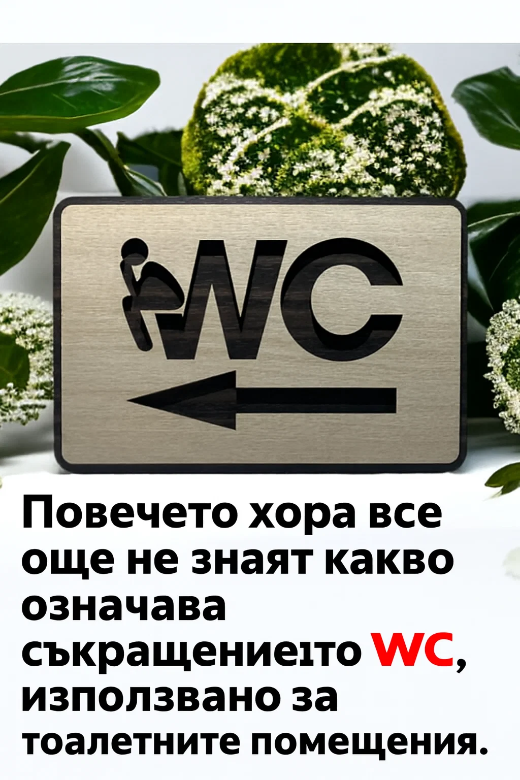 task 01kbqy62gpf95a3gqzsr647pbc 1764961354 img 1