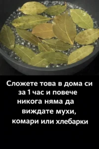 task 01kd551vxdfdyv90rxpqr0wam4 1766478422 img 1