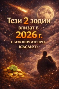 task 01kdd2wb7ge8nad0y5q6b7f51g 1766744618 img 1