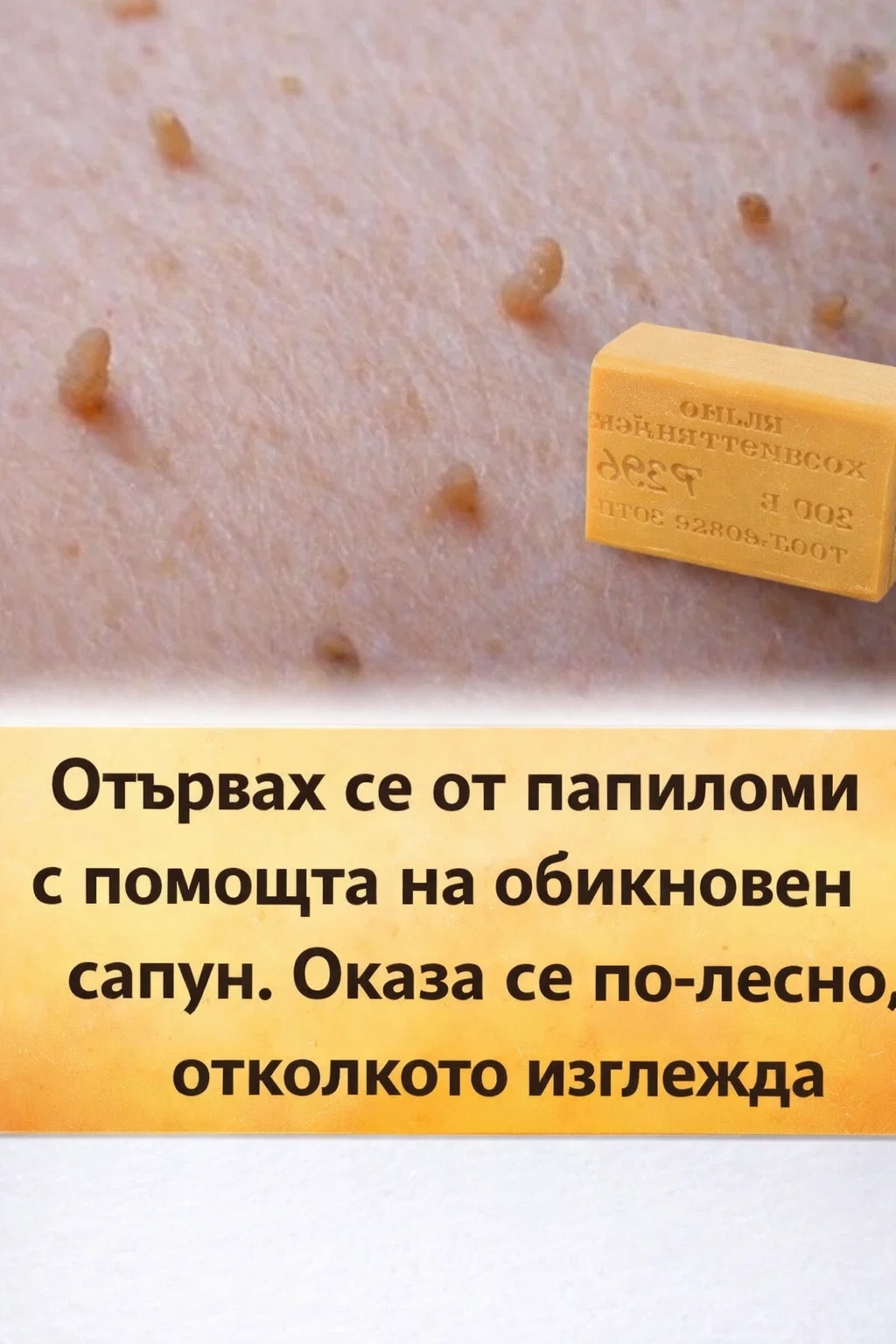task 01kdqwcrd7ft8sh73p3erav00v 1767106898 img 1