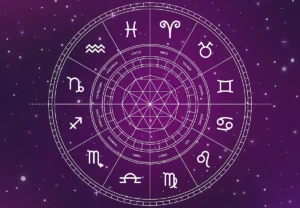 zodii responsive 1200 833