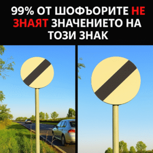 30745757 bdf3 41a2 8579 1f17ff58144b